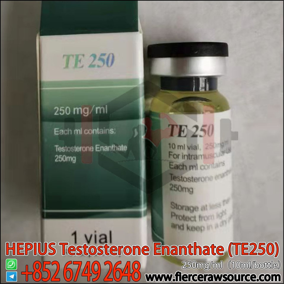 HEPIUS Testosterone Enanthate(TE250) 250mg CAS: 315-37-7