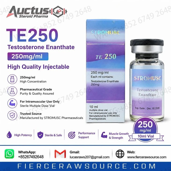 High-Quality Testosterone Enanthate (TE250) 10ml Oil