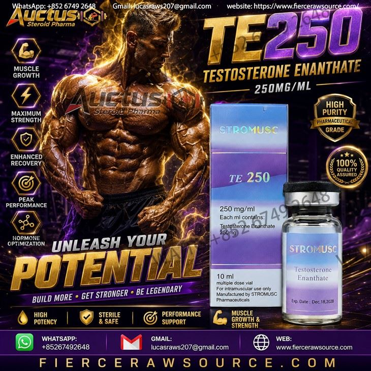 testosterone-enanthate-250mg-oil-vial1