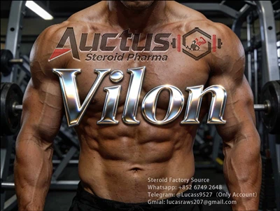 Vilon: A New Tool for Immune Regulation and Recovery Enhancement in Bodybuilding