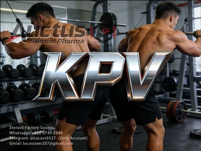 KPV Tripeptide Doesn't Directly Increase Muscle; Anti-inflammatory And Repair...