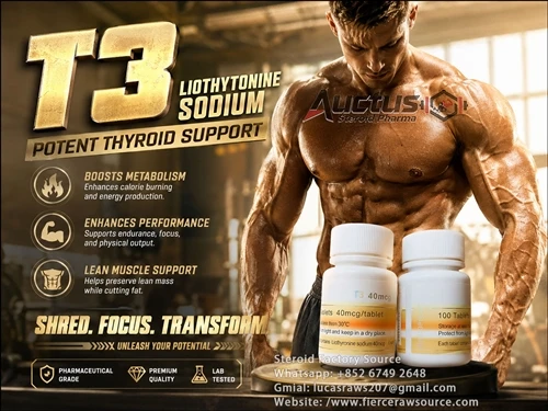 Why T3 Tablets Are Regaining Attention in Modern Metabolic Research