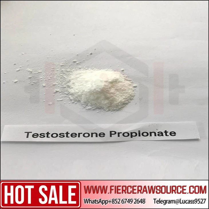 Premium Quality Raw Powder Testosterone Propionate CAS：57-85-2