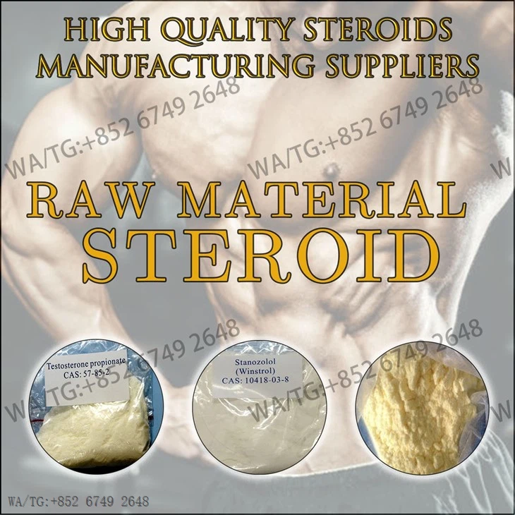 Premium Quality Raw Powder Testosterone Propionate CAS：57-85-2 factory