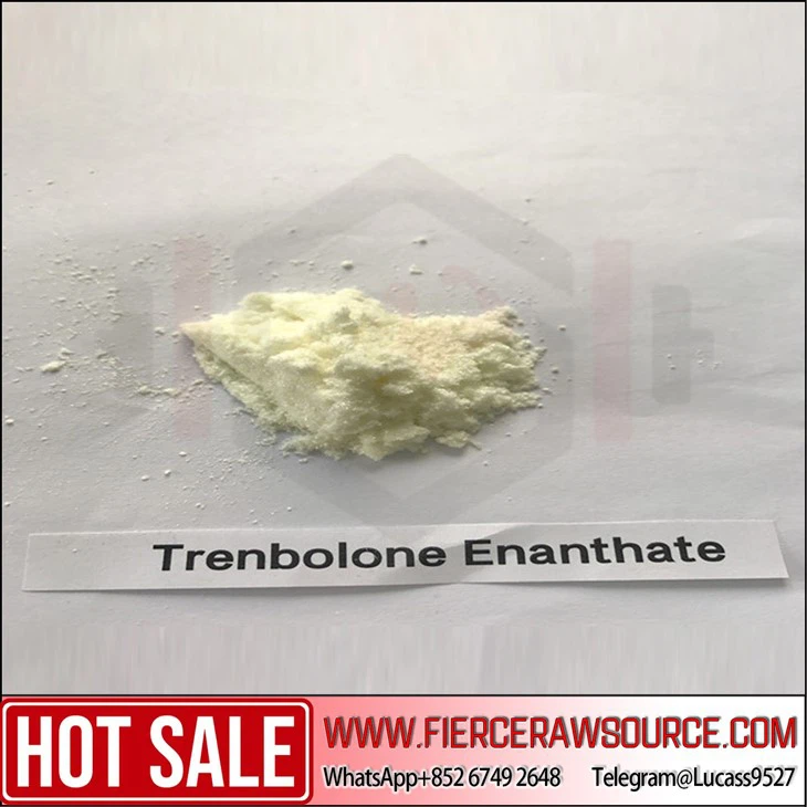 Premium Quality Trenbolone Enanthate Raw Powder CAS：10161-33-8