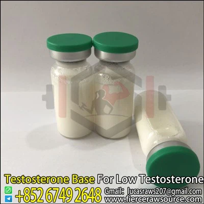 BNP Testosterone Base 100mg CAS：58-22-0