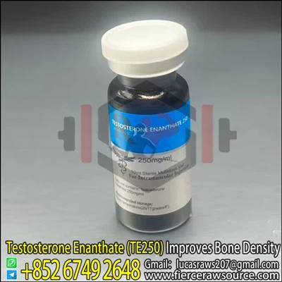 STADA Testosterone Enanthate 250mg CAS：315-37-7