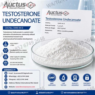 Testosterone Undecanoate Top-quality AAS Powder